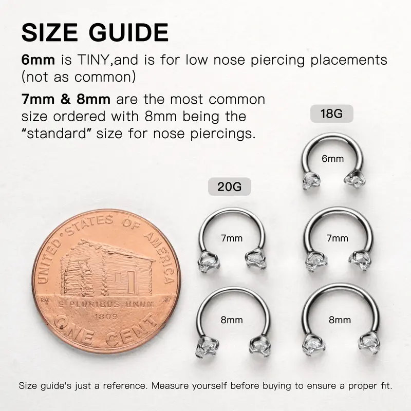 Titanium Horseshoe Nose Ring