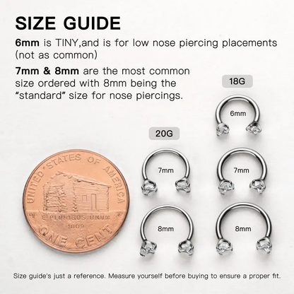 Titanium Horseshoe Nose Ring